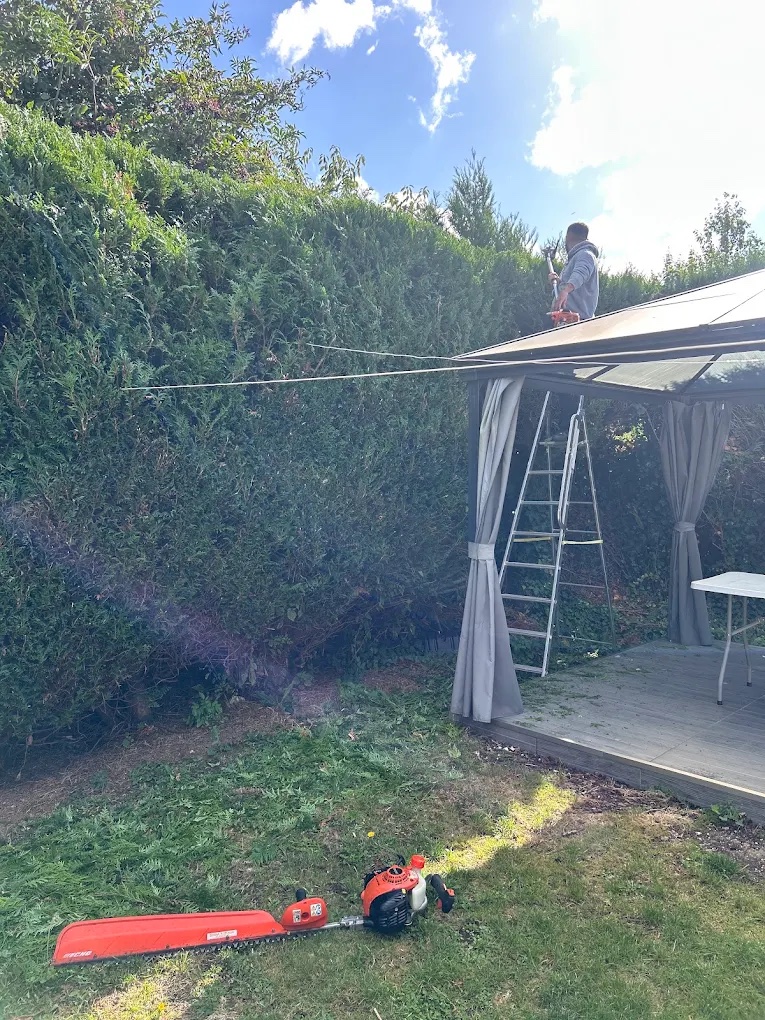 Taille d'une haie haute au taille-haies, en appui au-dessus d'une pergola